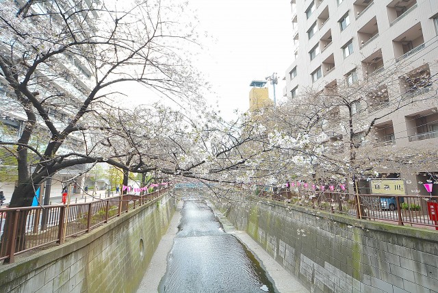 池尻大橋