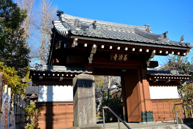 池上駅周辺 養源寺