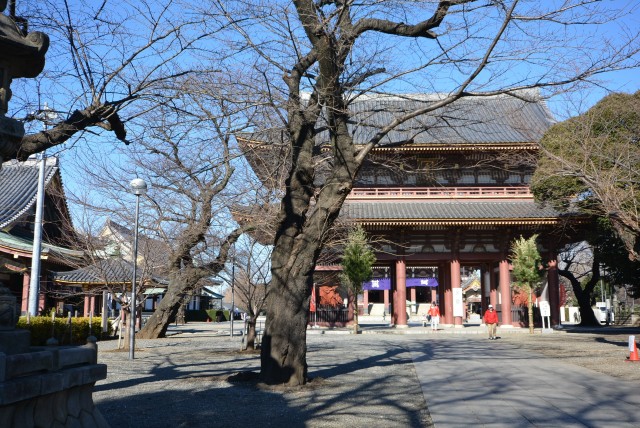 池上駅周辺 池上本門寺