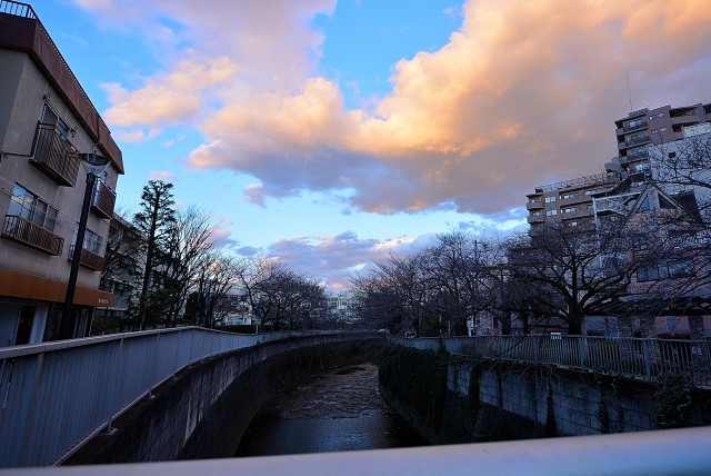 東中野