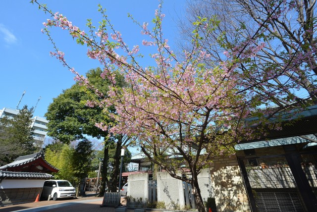 要町駅周辺