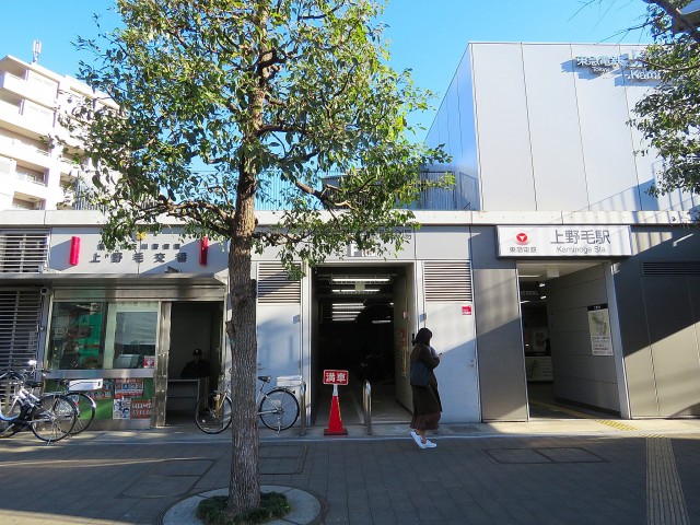 ライオンズマンション上野毛　駅