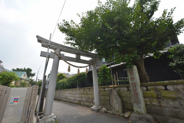 二子新地駅から物件まで (15)