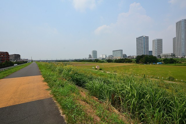 コスモ・ザ・ガーデン二子多摩川⑥多摩川 (5)