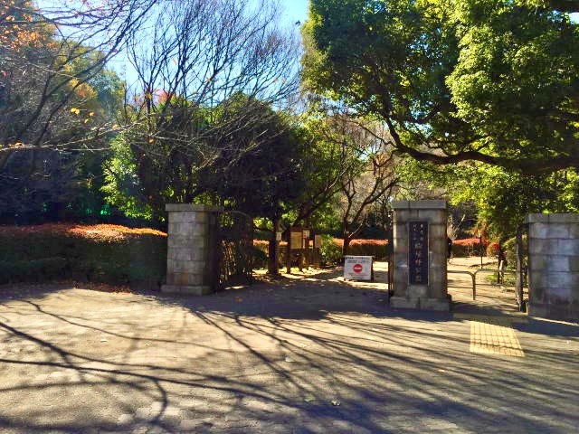 駒場野公園