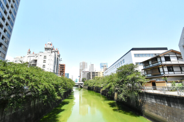 目黒駅周辺 目黒川