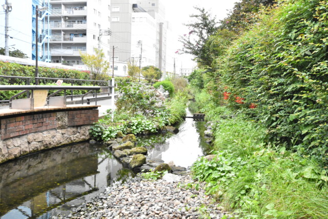 池尻大橋駅周辺