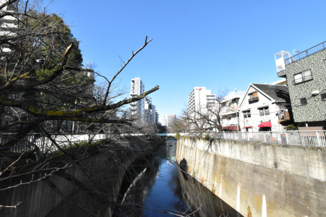 面影橋駅周辺