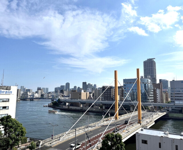 新大橋永谷マンション 眺望