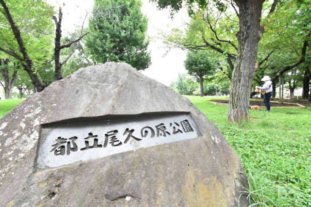 セザール西日暮里 周辺 熊野前駅周辺少し遠く